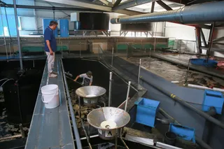 Фото: Руслан Пряников