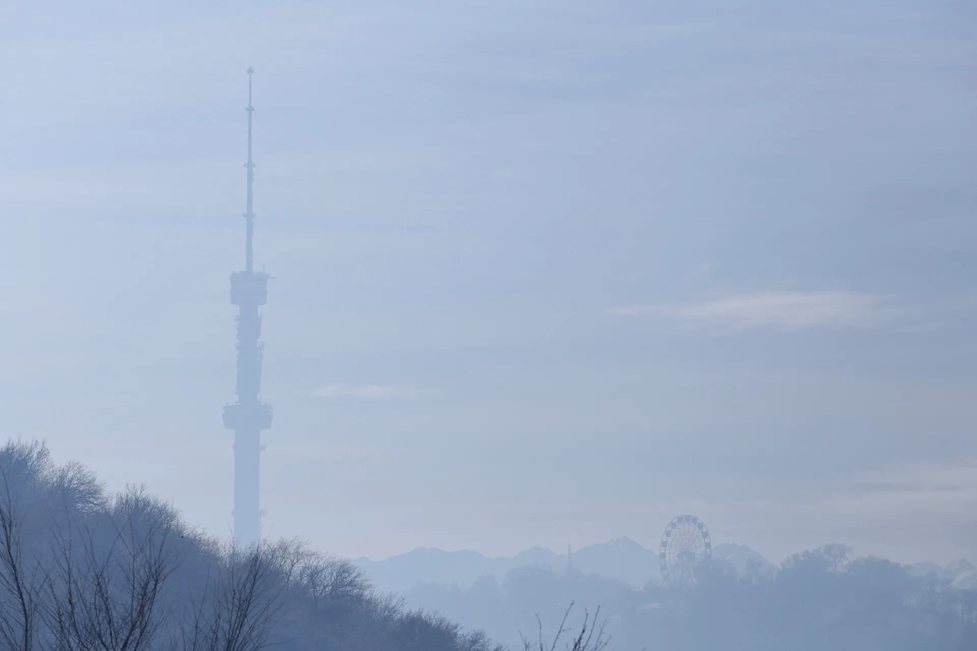Фото: Руслан Пряников