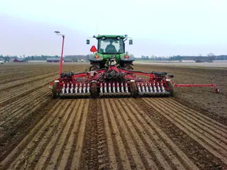 Капитал - Рисоводам Кызылорды увеличили субсидии