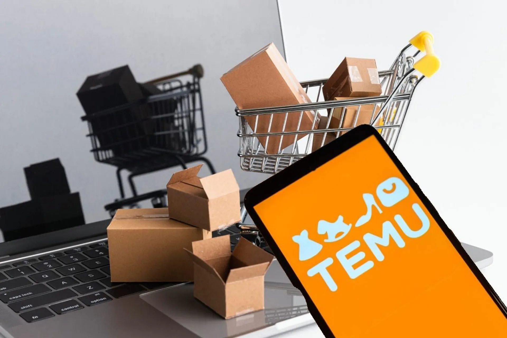 Капитал - Американцы массово подают в суд на Temu