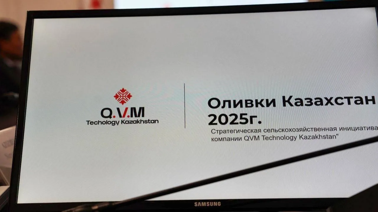 В Казахстане могут построить завод по производству оливкового масла