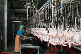 Капитал - Импортное мясо птицы не соответствует техрегламентам