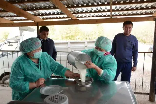 Капитал - В Казыгуртском районе ЮКО установили модульные пункты приема молока