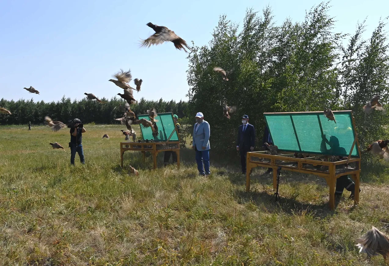 Нурсултан Назарбаев предложил придать «зеленому поясу» столицы статус нацпарка - фото kapital.kz