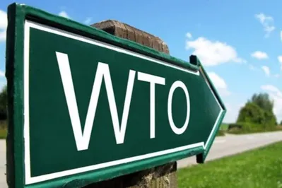 Импортерам РК рассказали о ввозе и вывозе товаров в рамках ВТО