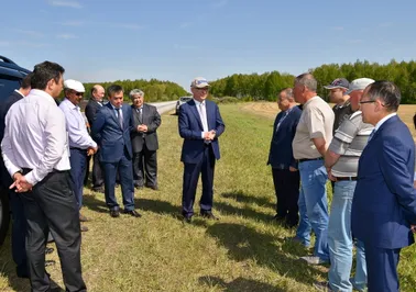 На севере Казахстана засеяли 31% площадей