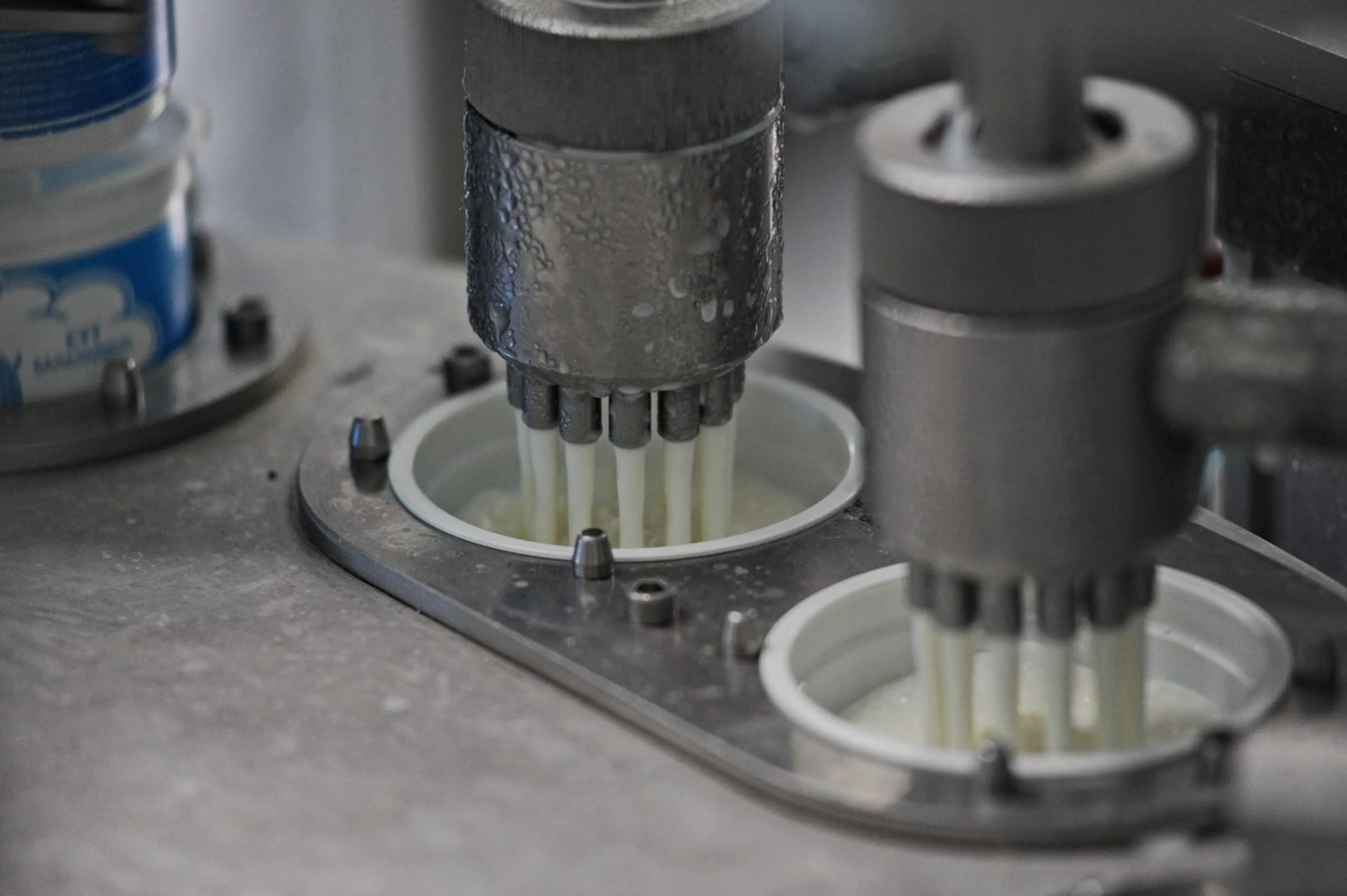 Капитал - Что происходит с ценами на молочку в Казахстане?