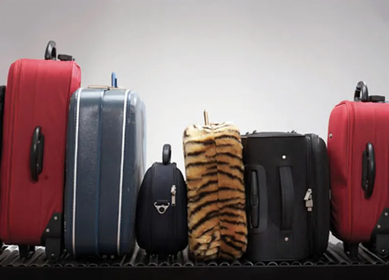 Капитал - Въездной туризм? Не, не слышали