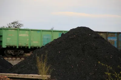 Фото: Руслан Пряников