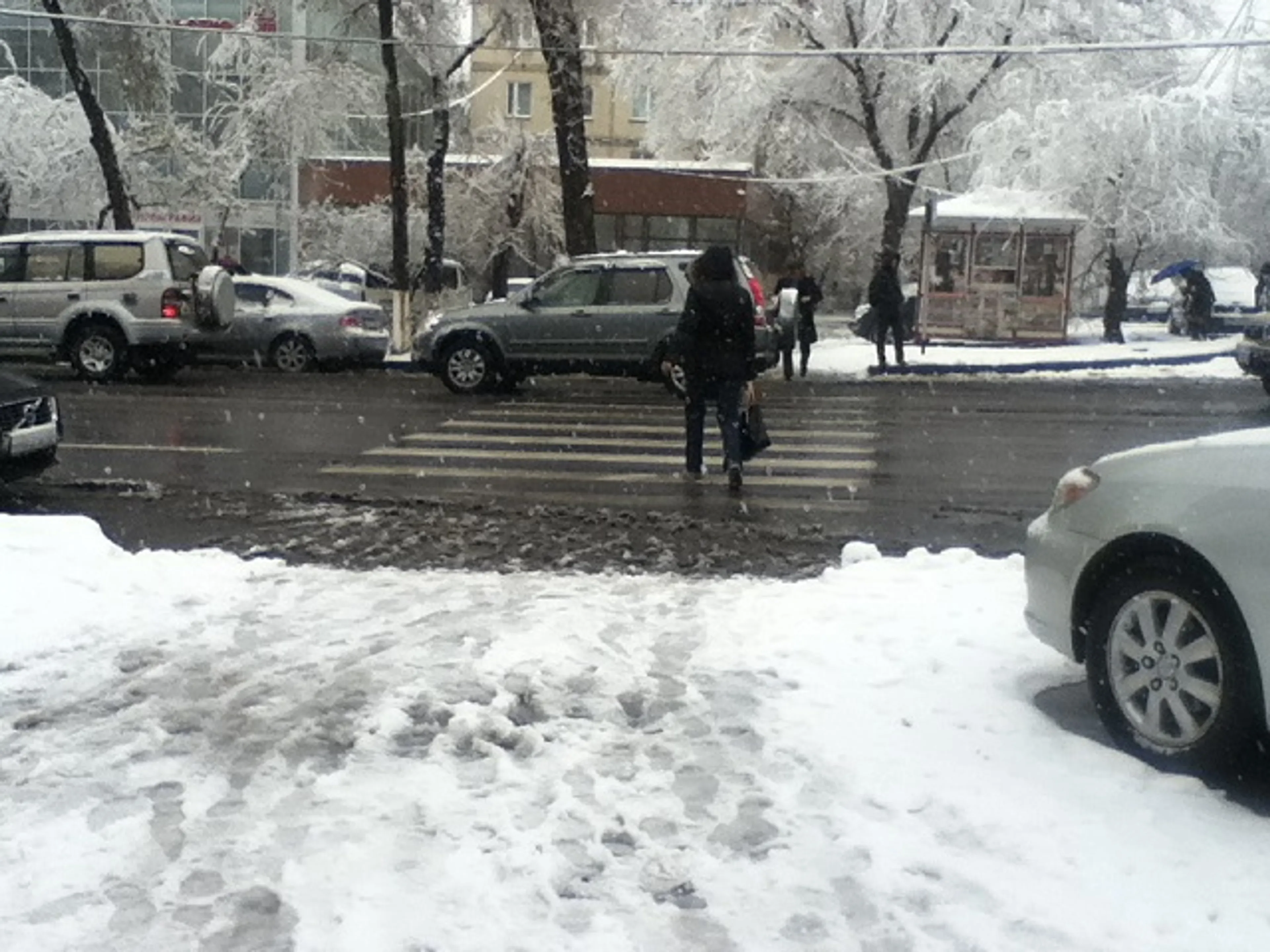 Капитал - Алматы: За день вывезли более 3,7 тыс. кубов снега