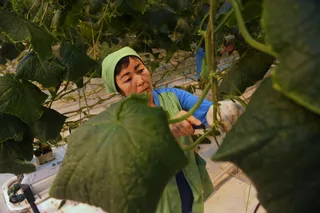 Капитал - Сельские жители более охотно занимаются бизнесом, чем горожане