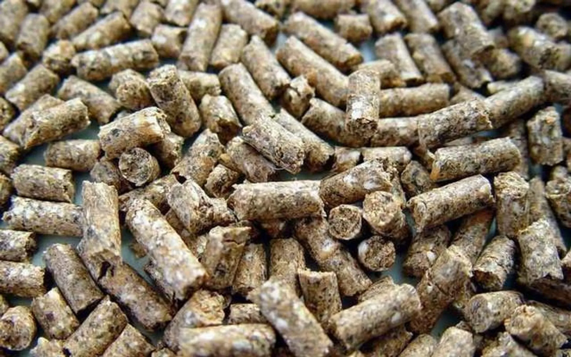 Капитал - Производство комбикорма нужно увеличить до 2 млн. тонн