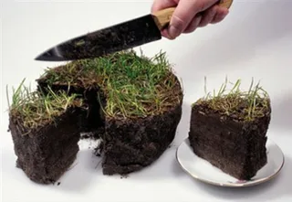 Капитал - Астана, Алматы и Шымкент лидируют по стоимости земли