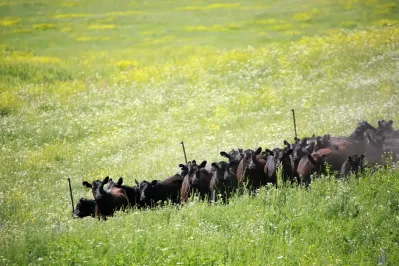 Фото: Руслан Пряников