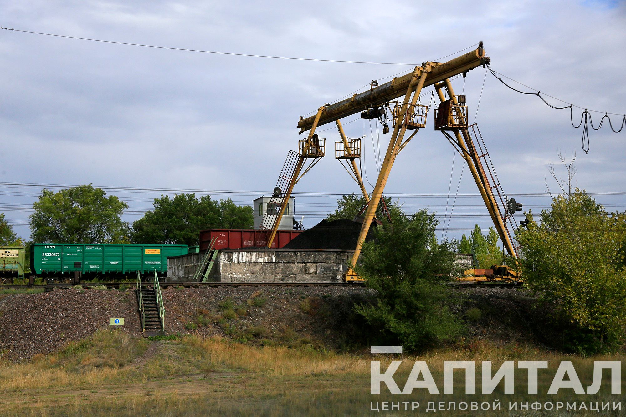 Фото: Руслан Пряников