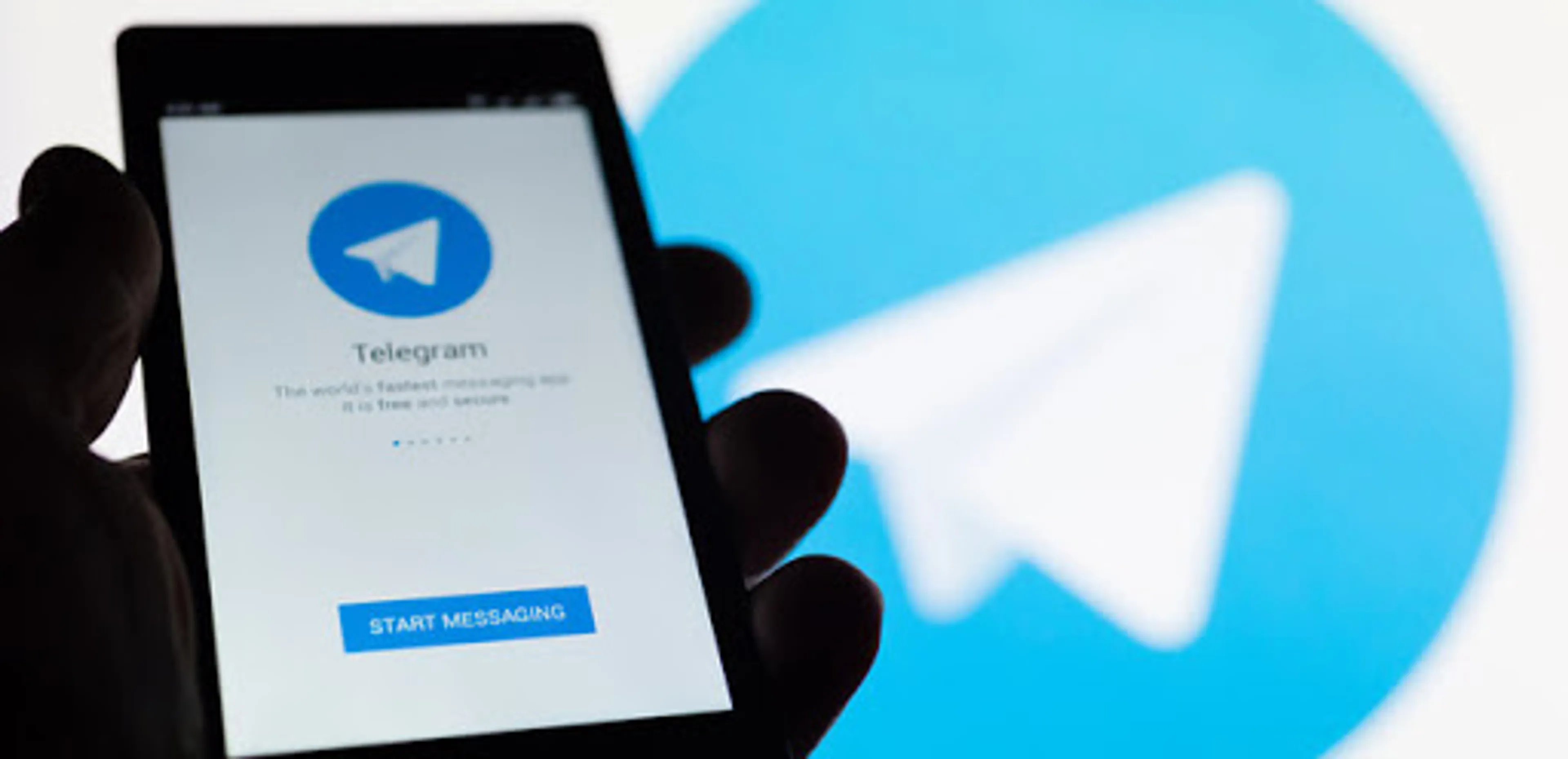 Капитал - Заработал telegram-бот для вопросов о коронавирусе