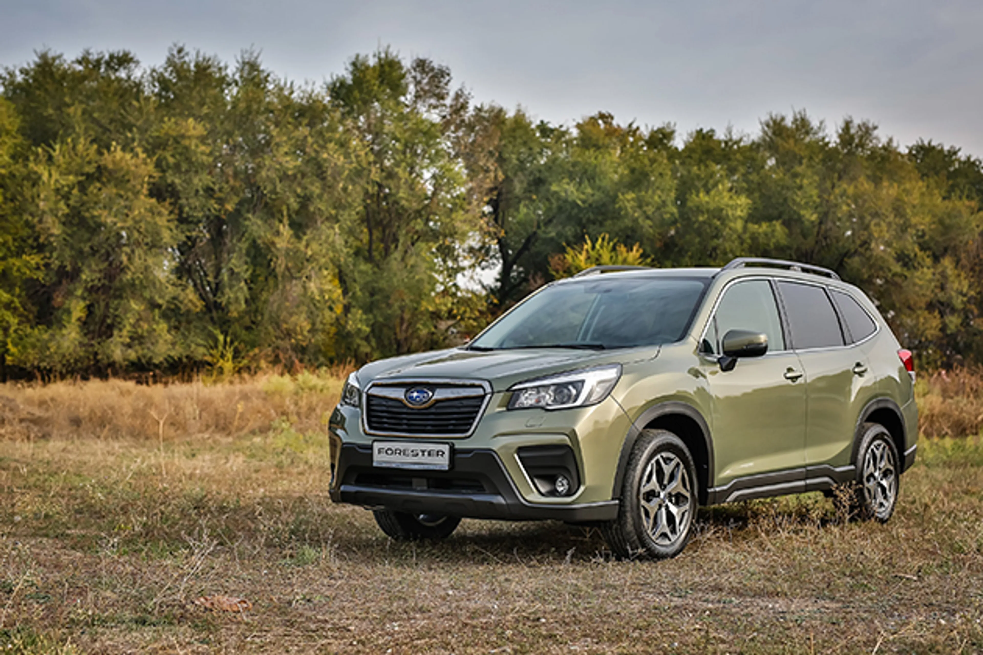 Капитал - Subaru Forester V избавился от турбин