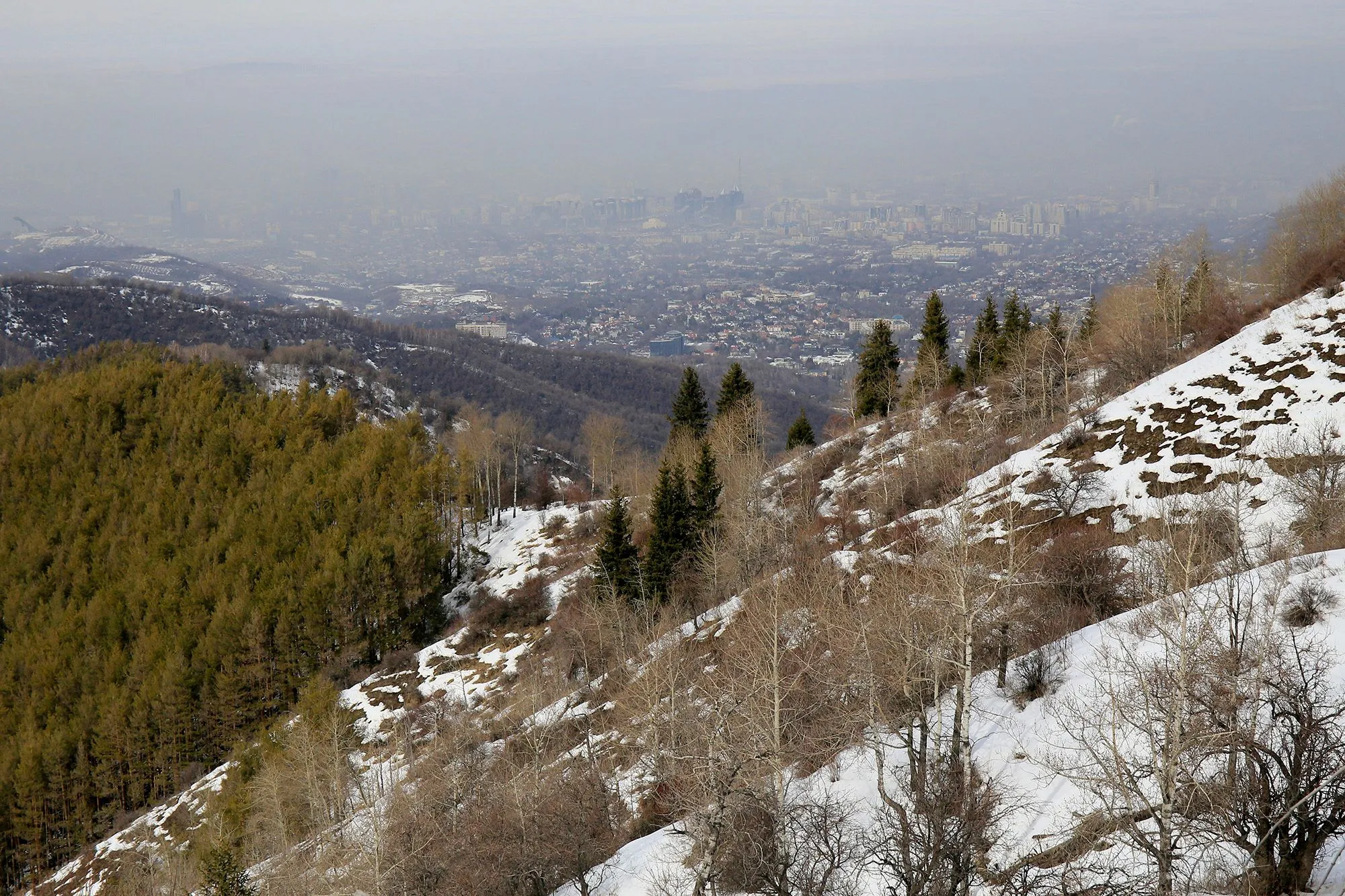 Число пассажиров, бронирующих рейсы в Алматы, выросло в 1,5 раза