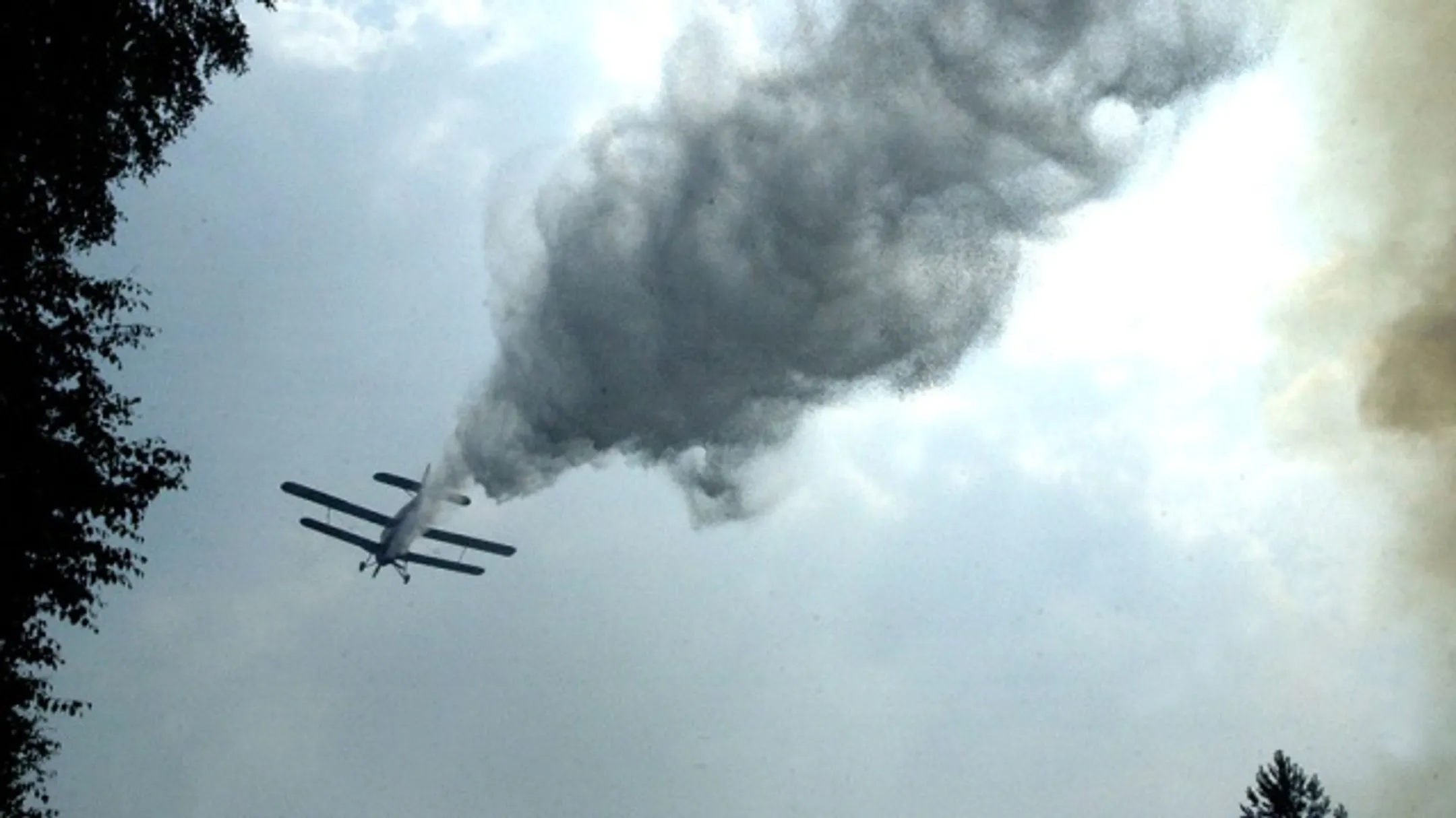 Причиной крушения самолета мог стать туман - Image Kapital.kz