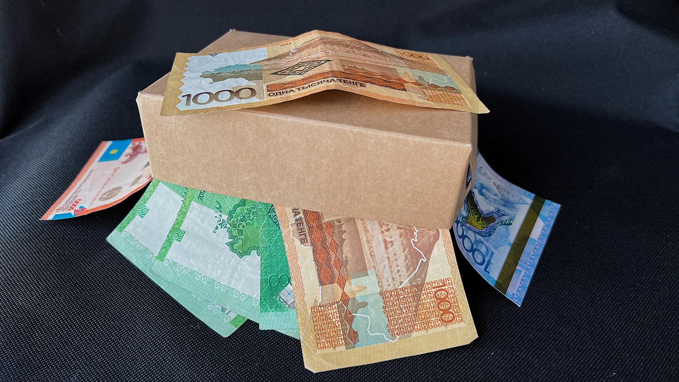 Фото: Валерия Змейкова 