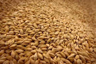 Продкорпорация поможет регионам