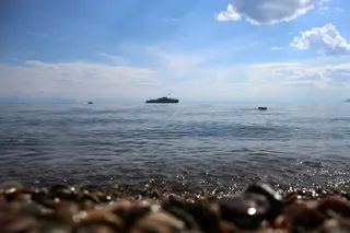 Капитал - Бабр, нерпа и Байкал — зачем лететь в Иркутск летом?