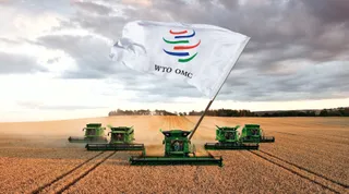 Капитал - Нашли крайнего