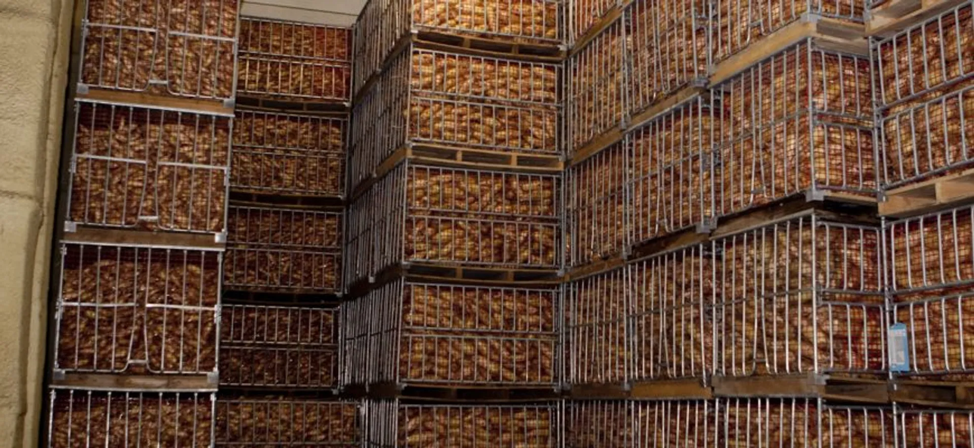 КазахЗерно