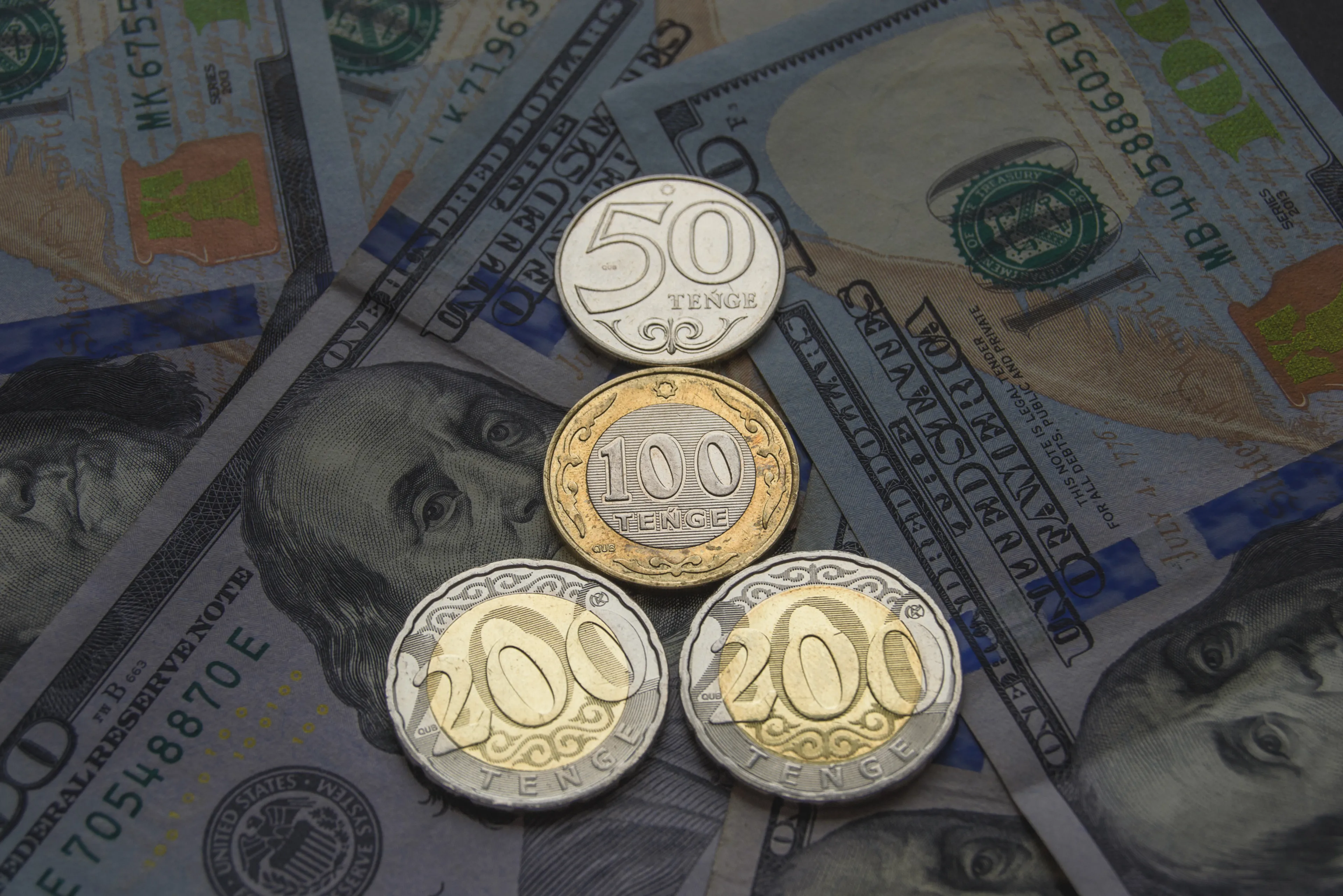 Фото: Валерия Змейкова