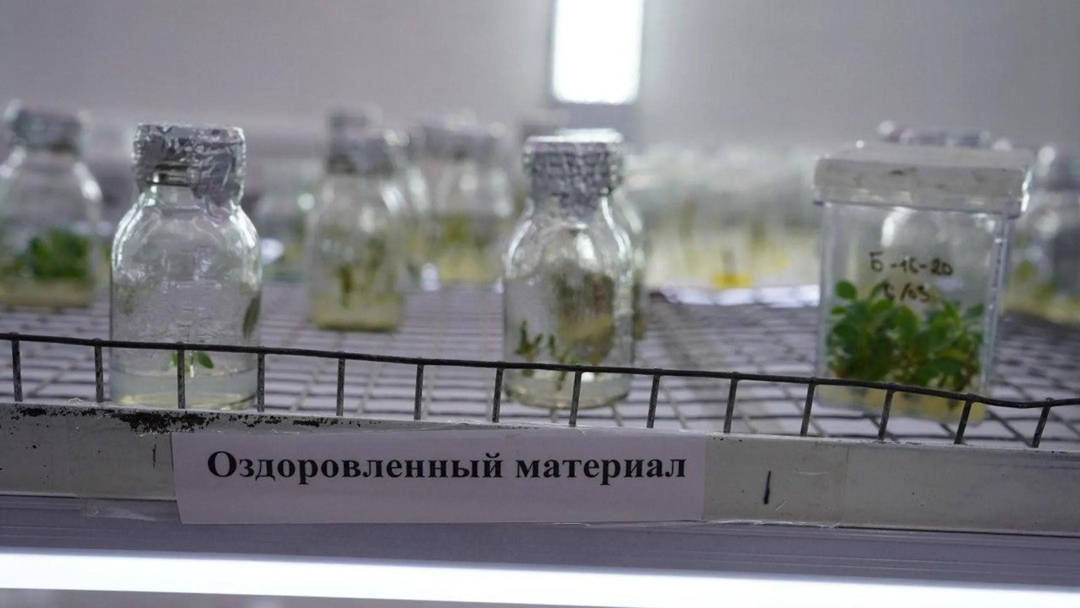 Изображение Kapital.kz