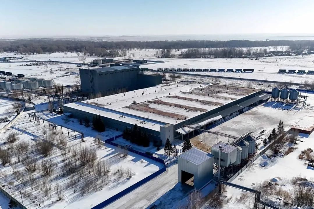 Завод по переработке бобовых и масличных культур открыли в Семее