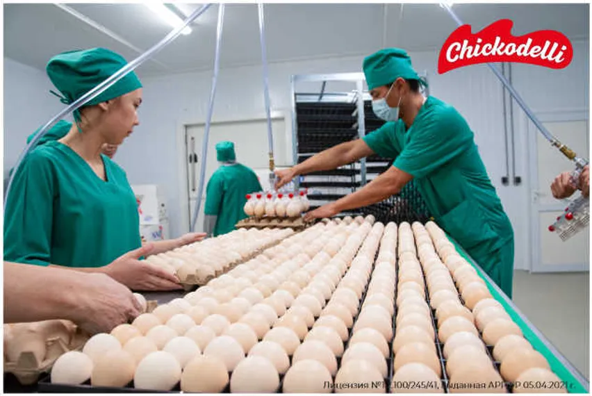 Капитал - В Казахстане начал работу крупнейший птицекомплекс