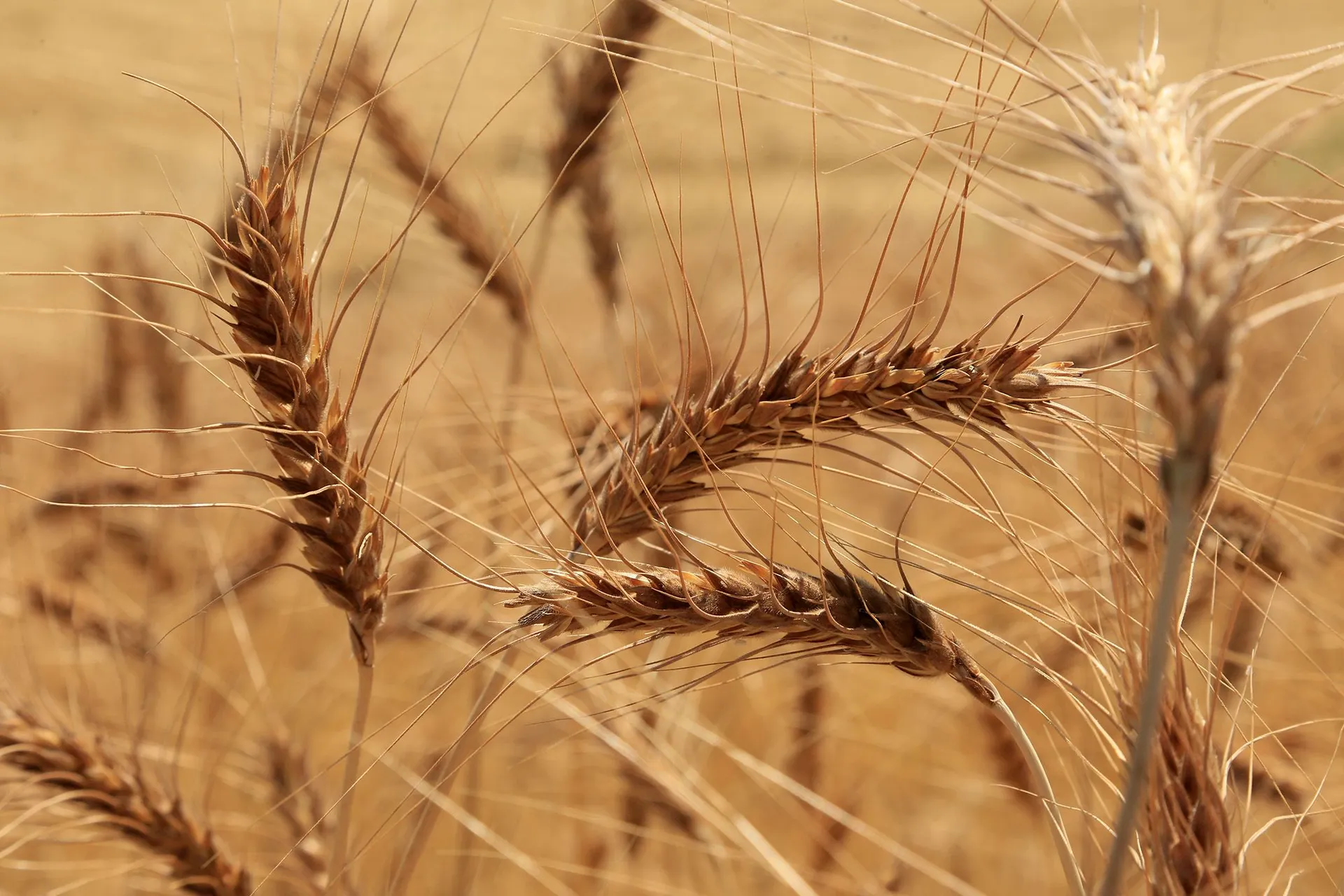 Фото: Руслан Пряников