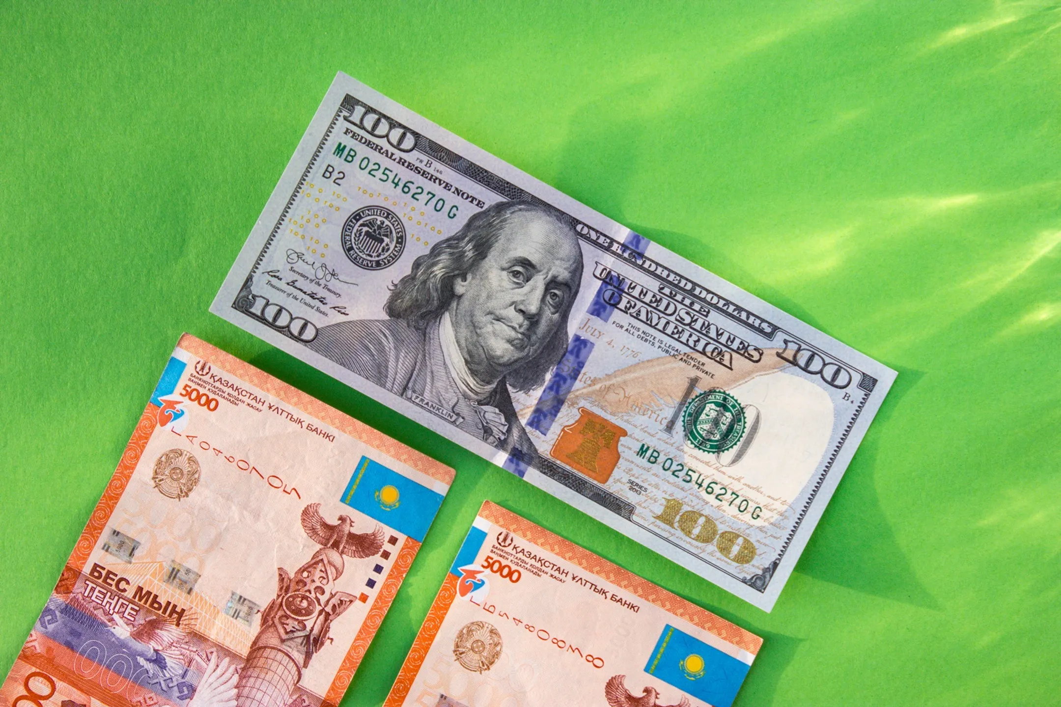 Фото: Валерия Змейкова