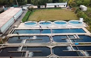 Капитал - В Алматинской области обучают основам рыбоводства