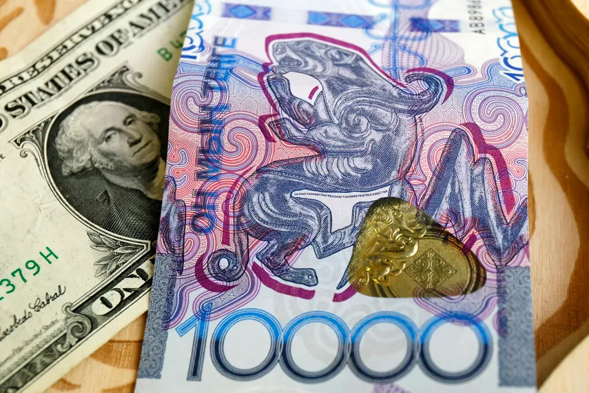 Фото: Руслан Пряников