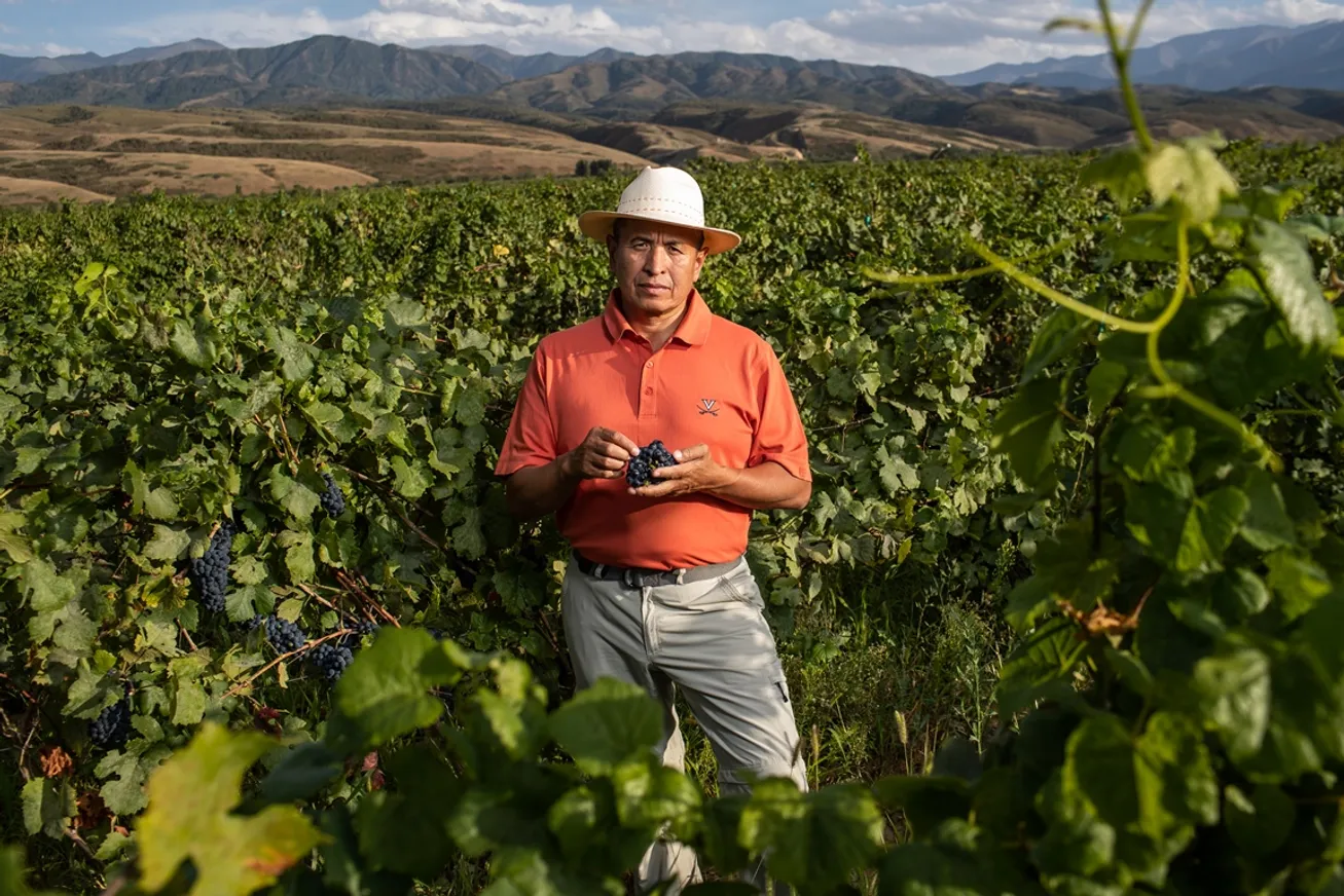 От зарождения до вершин: путь Arba Wine за 10 лет - фото kapital.kz