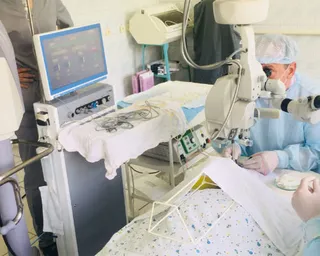 Капитал - Всемирно известные специалисты по пересадке роговицы приедут в Казахстан