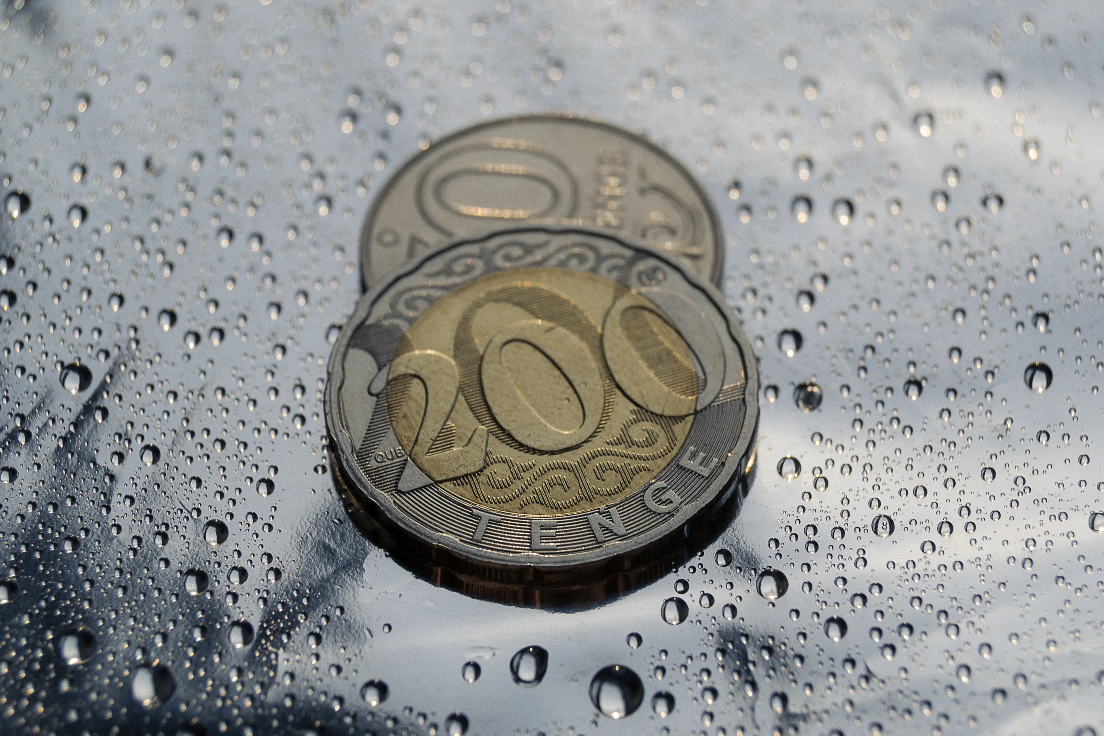 Фото: Валерия Змейкова