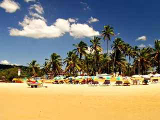 Капитал - Самостоятельный тур на Гоа