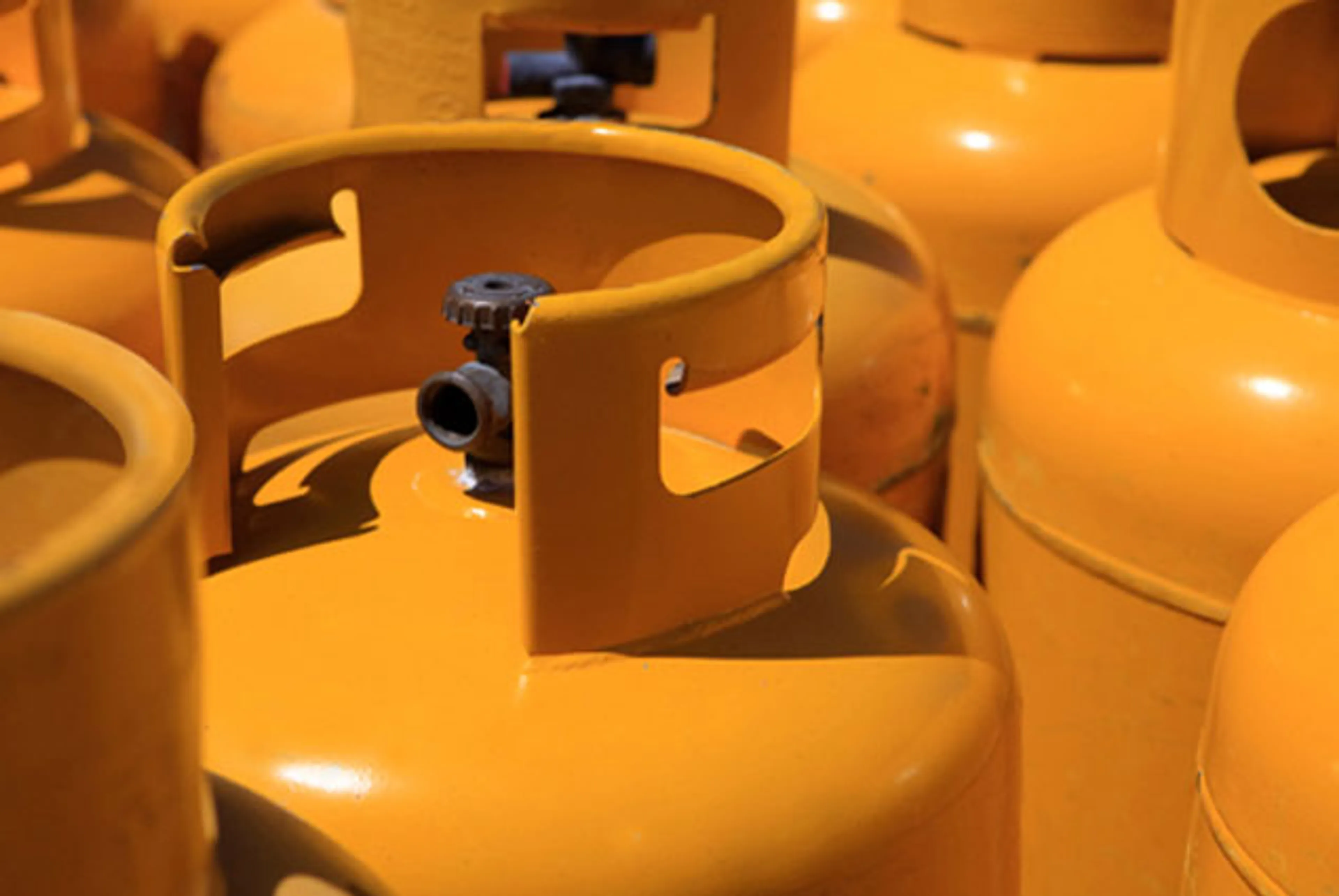 Капитал - Австрия прикрыла бизнес олигархов Украины