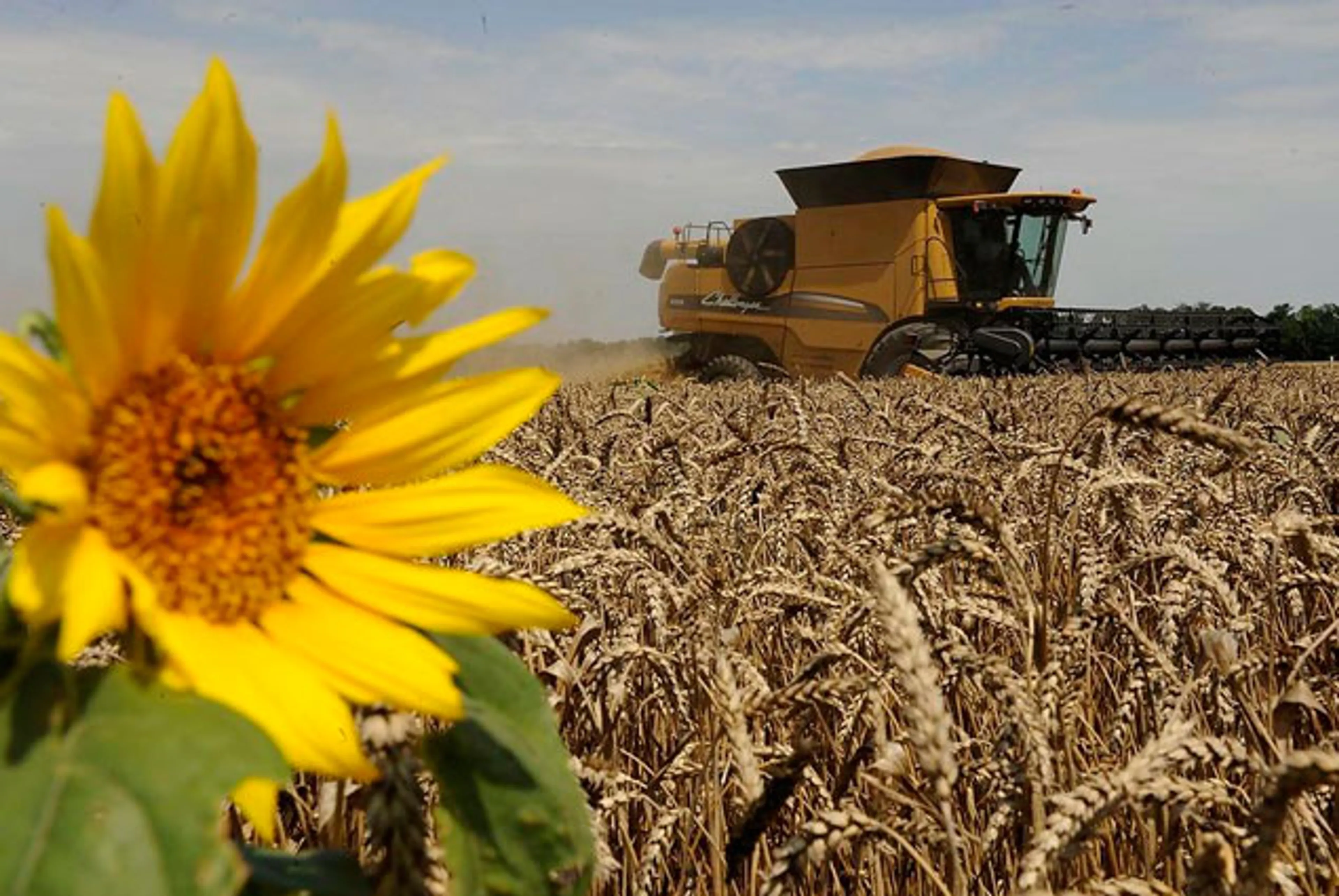 Капитал - Санкции оказались для Сербии уникальным шансом