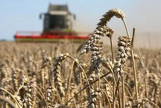 Капитал - Заседание Совета иностранных инвесторов началось в Астане