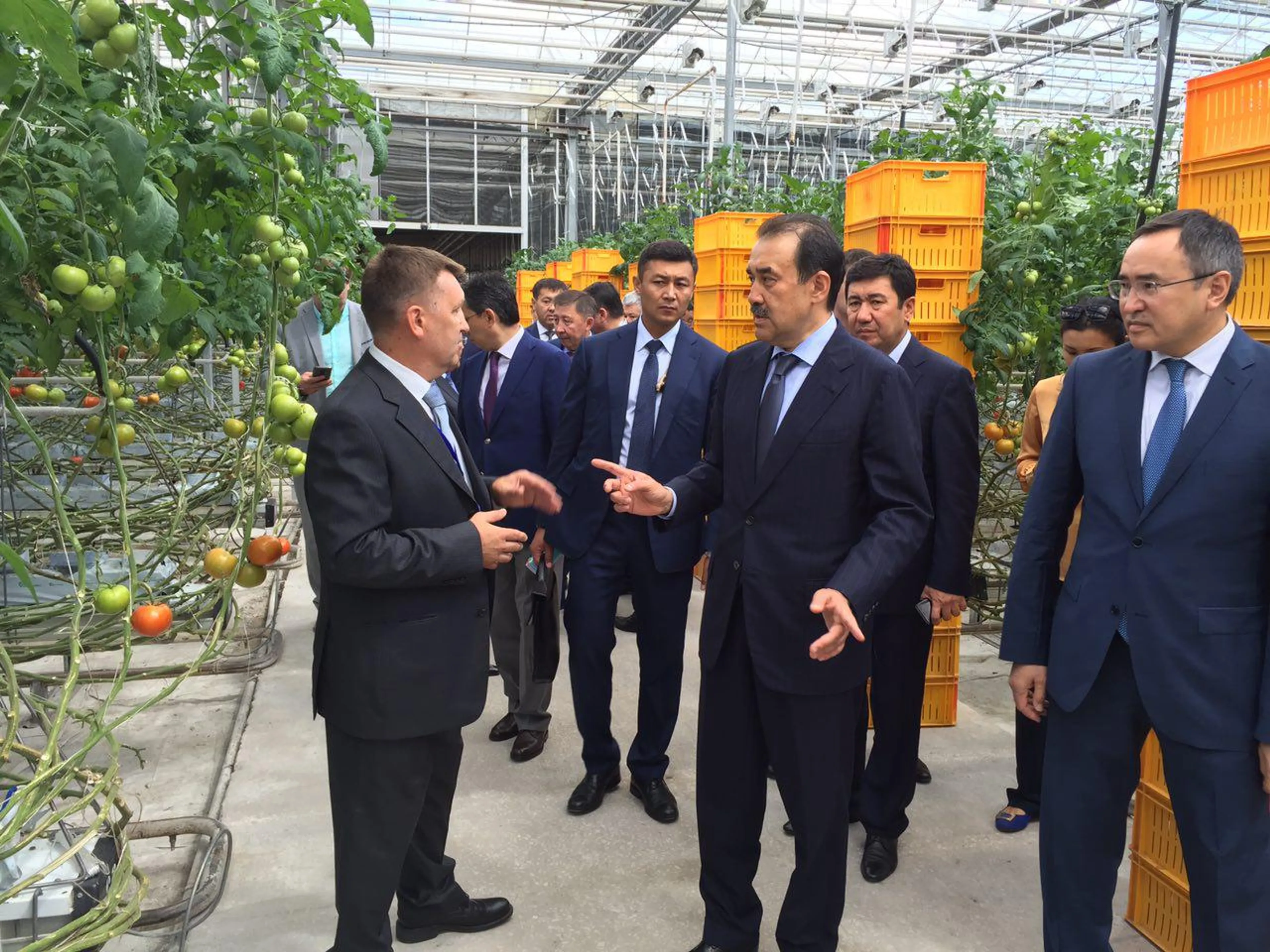 Капитал - Премьер-министру показали отечественные тепличные технологии