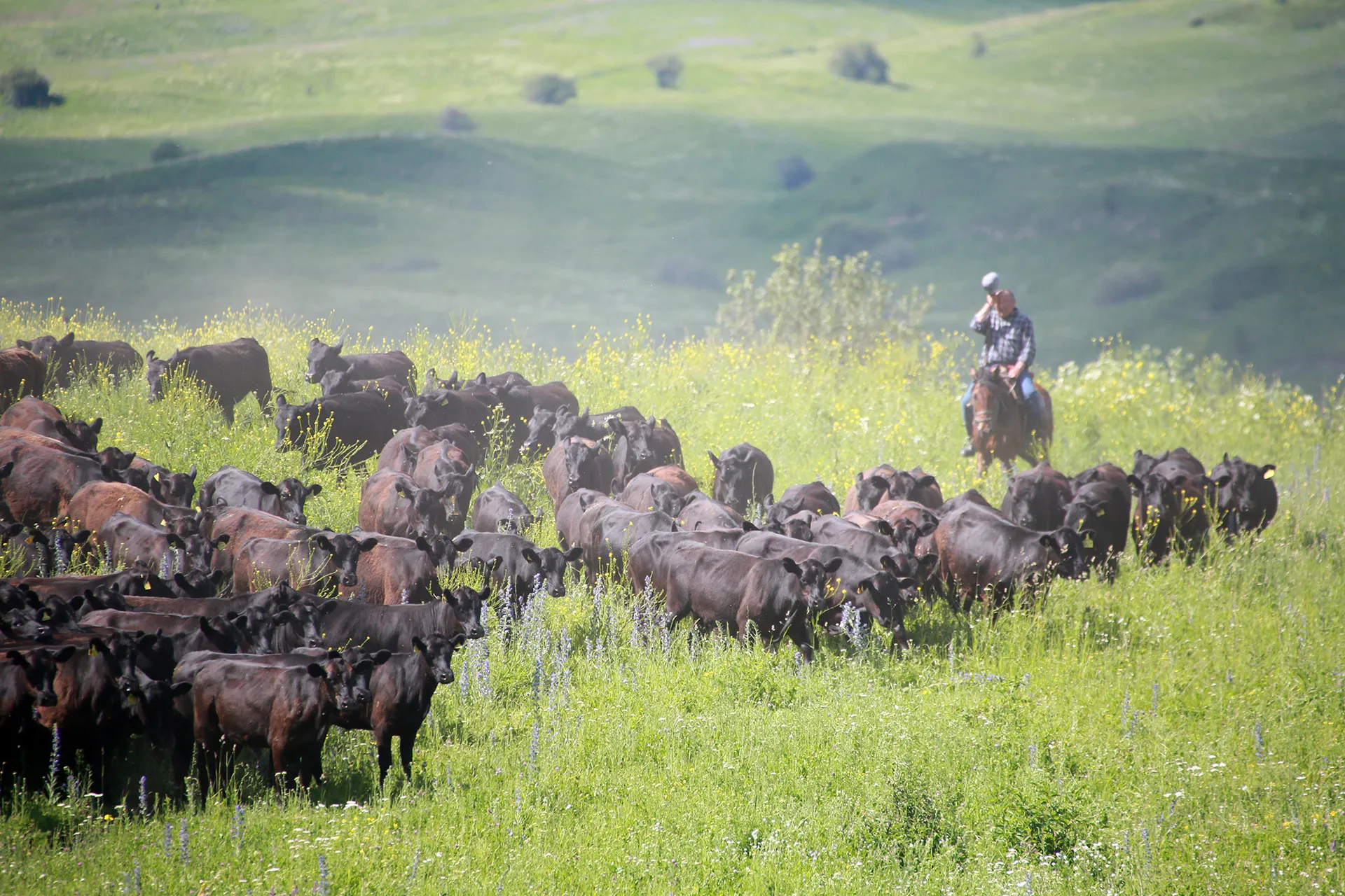 Фото: Руслан Пряников