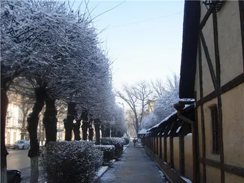 В центре Алматы не будет проводиться массовая застройка