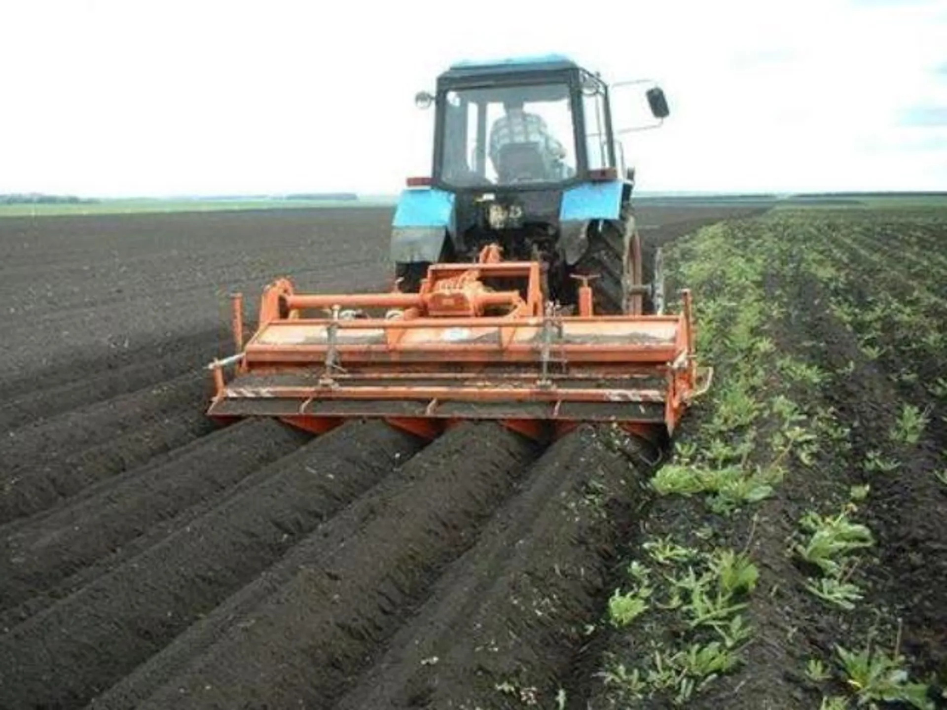 Капитал - Фермеры вновь просят оставить единый земельный налог