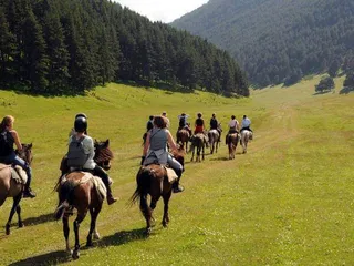 Капитал - План развития экотуризма
поможет привлечь до 70 млрд тенге