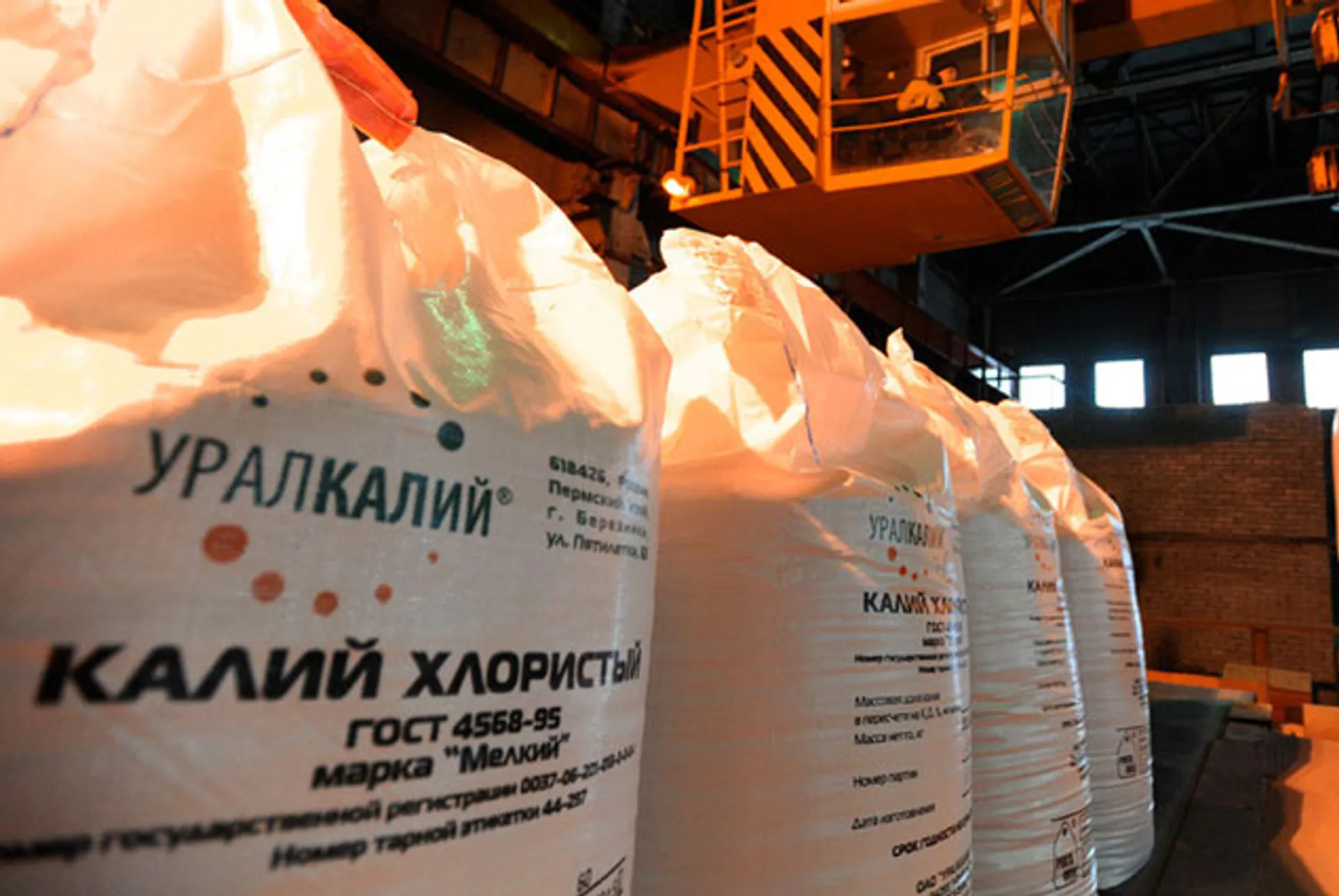 Капитал - 12,5% Уралкалия отошли китайскому фонду