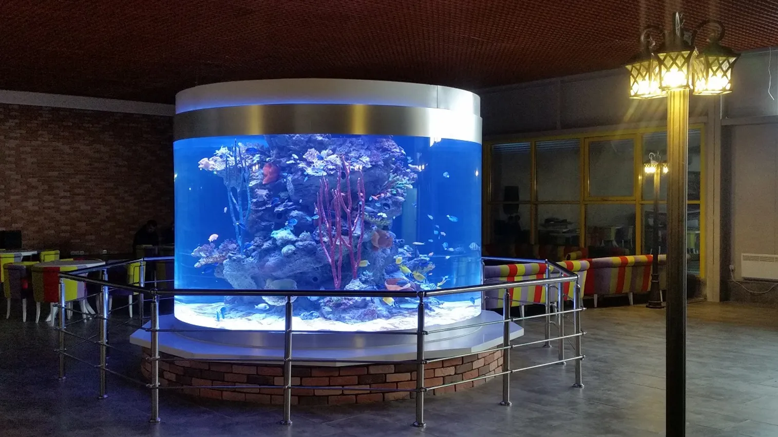 Аквариум в Теректы